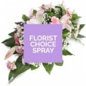 Seasonal Florist Choice Spray in Oasis